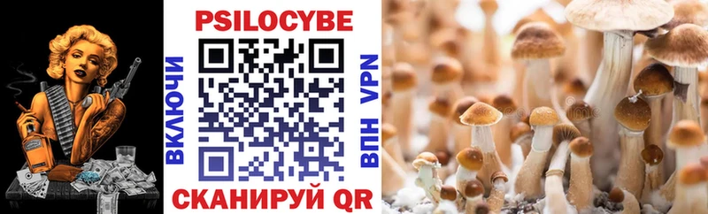 Галлюциногенные грибы прущие грибы  Купить закладки  Сызрань 